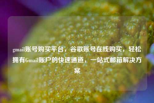 gmail账号购买平台，谷歌账号在线购买，轻松拥有Gmail账户的快速通道，一站式邮箱解决方案