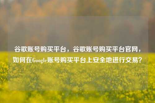 谷歌账号购买平台，谷歌账号购买平台官网，如何在Google账号购买平台上安全地进行交易？