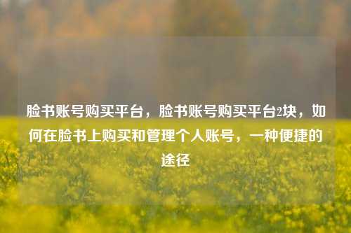 脸书账号购买平台，脸书账号购买平台2块，如何在脸书上购买和管理个人账号，一种便捷的途径