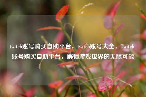twitch账号购买自助平台，twitch账号大全，Twitch 账号购买自助平台，解锁游戏世界的无限可能