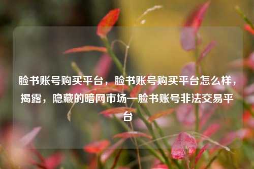 脸书账号购买平台，脸书账号购买平台怎么样	，揭露，隐藏的暗网市场—脸书账号非法交易平台  第1张