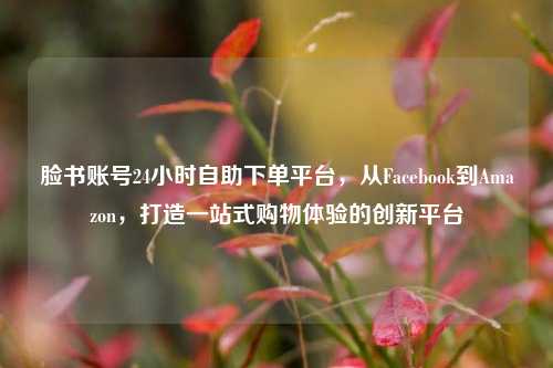 脸书账号24小时自助下单平台	，从Facebook到Amazon，打造一站式购物体验的创新平台  第1张