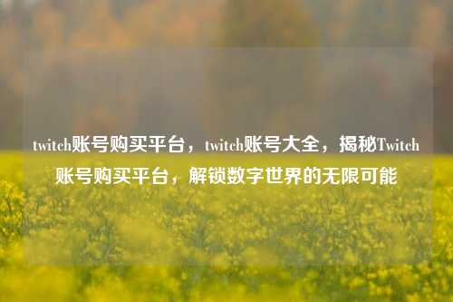 twitch账号购买平台，twitch账号大全，揭秘Twitch账号购买平台，解锁数字世界的无限可能
