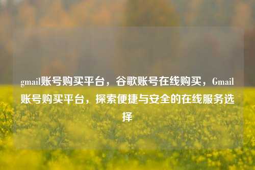 gmail账号购买平台，谷歌账号在线购买，Gmail账号购买平台，探索便捷与安全的在线服务选择