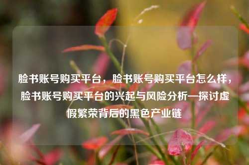 脸书账号购买平台，脸书账号购买平台怎么样，脸书账号购买平台的兴起与风险分析—探讨虚假繁荣背后的黑色产业链