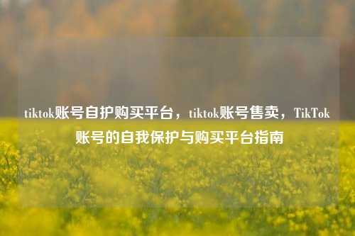 tiktok账号自护购买平台，tiktok账号售卖，TikTok 账号的自我保护与购买平台指南