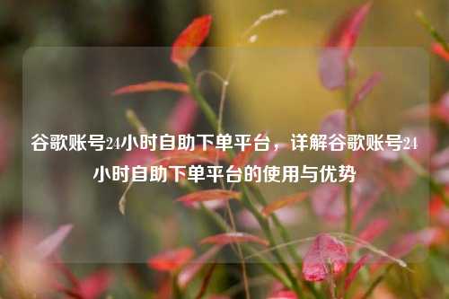 谷歌账号24小时自助下单平台，详解谷歌账号24小时自助下单平台的使用与优势
