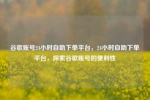 谷歌账号24小时自助下单平台，24小时自助下单平台，探索谷歌账号的便利性  第1张
