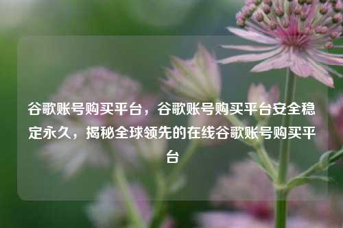 谷歌账号购买平台，谷歌账号购买平台安全稳定永久，揭秘全球领先的在线谷歌账号购买平台
