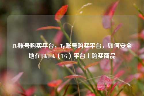 TG账号购买平台，Tg账号购买平台，如何安全地在TikTok（TG）平台上购买商品  第1张