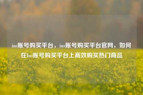 ins账号购买平台，ins账号购买平台官网，如何在Ins账号购买平台上高效购买热门商品  第1张