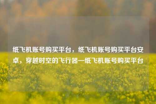 纸飞机账号购买平台，纸飞机账号购买平台安卓	，穿越时空的飞行器—纸飞机账号购买平台  第1张