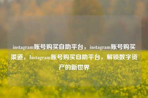 instagram账号购买自助平台，instagram账号购买渠道，Instagram账号购买自助平台，解锁数字资产的新世界