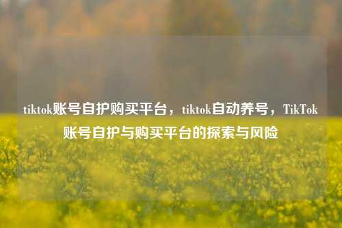 tiktok账号自护购买平台，tiktok自动养号，TikTok账号自护与购买平台的探索与风险