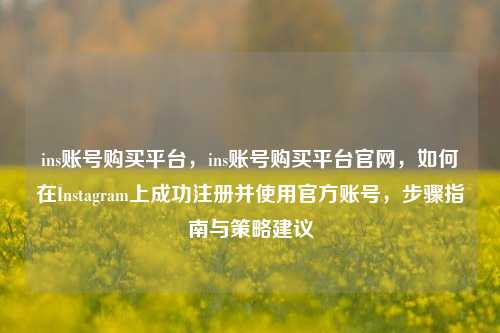 ins账号购买平台，ins账号购买平台官网，如何在Instagram上成功注册并使用官方账号	，步骤指南与策略建议  第1张