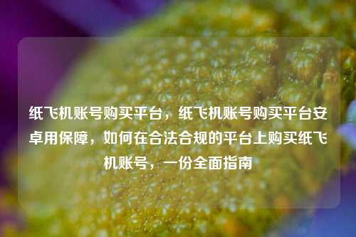 纸飞机账号购买平台，纸飞机账号购买平台安卓用保障，如何在合法合规的平台上购买纸飞机账号，一份全面指南