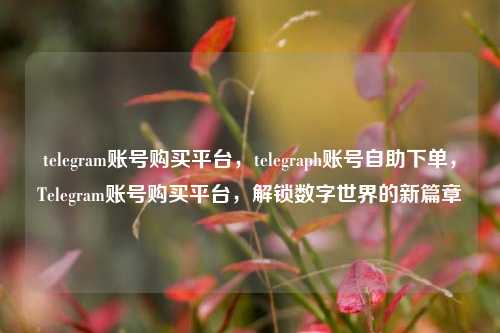 telegram账号购买平台，telegraph账号自助下单，Telegram账号购买平台，解锁数字世界的新篇章