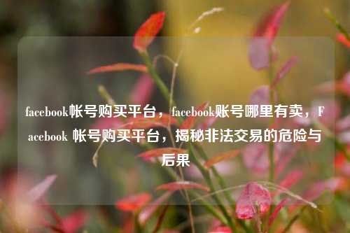 facebook帐号购买平台，facebook账号哪里有卖，Facebook 帐号购买平台，揭秘非法交易的危险与后果