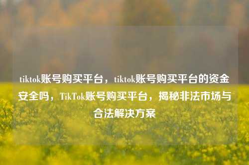 tiktok账号购买平台，tiktok账号购买平台的资金安全吗，TikTok账号购买平台	，揭秘非法市场与合法解决方案  第1张