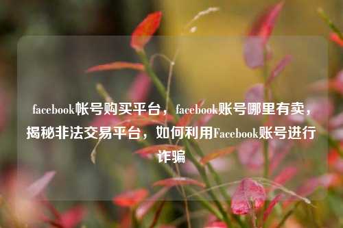 facebook帐号购买平台，facebook账号哪里有卖	，揭秘非法交易平台，如何利用Facebook账号进行诈骗  第1张