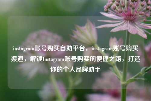 instagram账号购买自助平台，instagram账号购买渠道，解锁Instagram账号购买的便捷之路，打造你的个人品牌助手
