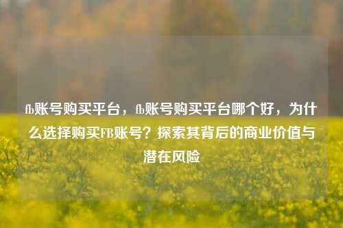 fb账号购买平台，fb账号购买平台哪个好，为什么选择购买FB账号？探索其背后的商业价值与潜在风险