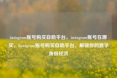 instagram账号购买自助平台，instagram账号在哪买，Instagram账号购买自助平台，解锁你的数字身份经济