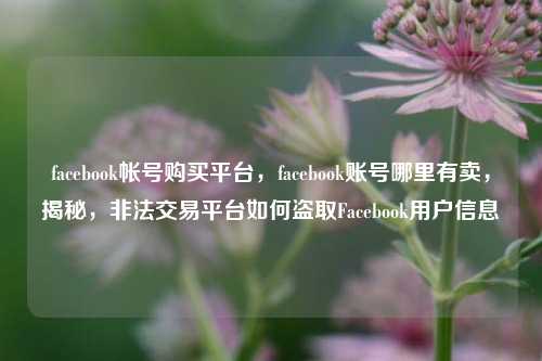 facebook帐号购买平台，facebook账号哪里有卖，揭秘，非法交易平台如何盗取Facebook用户信息