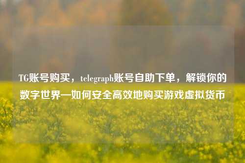 TG账号购买，telegraph账号自助下单，解锁你的数字世界—如何安全高效地购买游戏虚拟货币
