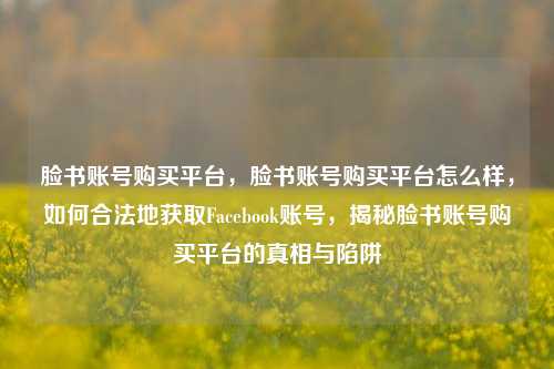 脸书账号购买平台，脸书账号购买平台怎么样，如何合法地获取Facebook账号，揭秘脸书账号购买平台的真相与陷阱