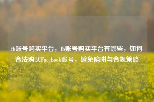 fb账号购买平台，fb账号购买平台有哪些，如何合法购买Facebook账号，避免陷阱与合规策略
