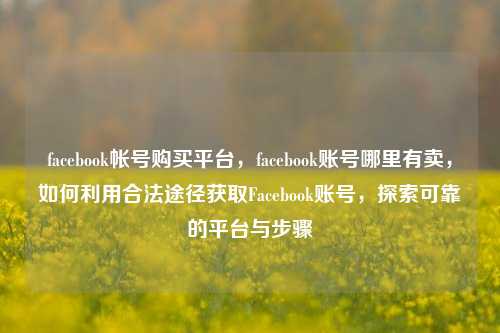 facebook帐号购买平台，facebook账号哪里有卖，如何利用合法途径获取Facebook账号，探索可靠的平台与步骤