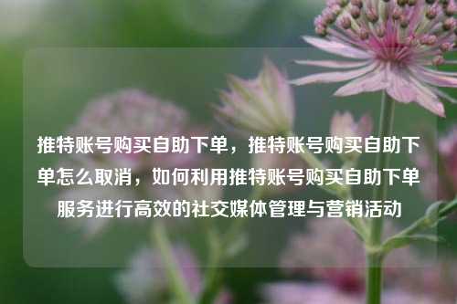 推特账号购买自助下单，推特账号购买自助下单怎么取消，如何利用推特账号购买自助下单服务进行高效的社交媒体管理与营销活动