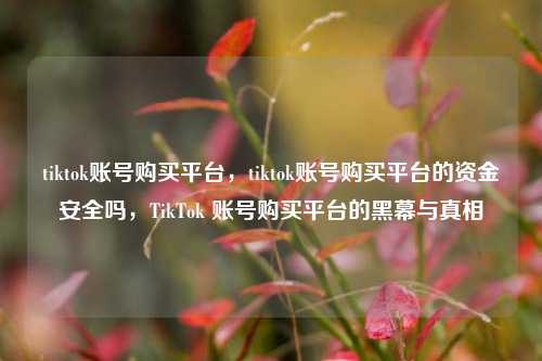 tiktok账号购买平台，tiktok账号购买平台的资金安全吗，TikTok 账号购买平台的黑幕与真相