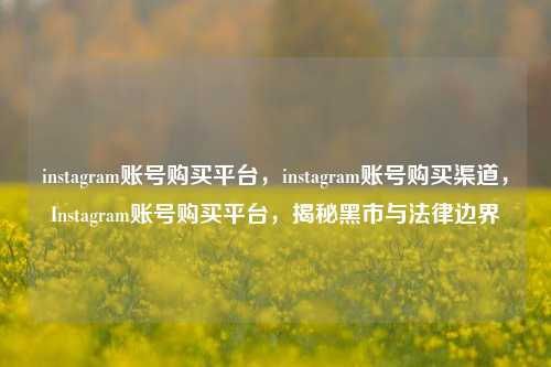 instagram账号购买平台，instagram账号购买渠道，Instagram账号购买平台，揭秘黑市与法律边界