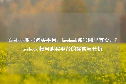 facebook帐号购买平台，facebook账号哪里有卖，Facebook 帐号购买平台的探索与分析