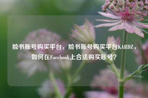 脸书账号购买平台，脸书账号购买平台KARDZ，如何在Facebook上合法购买账号？