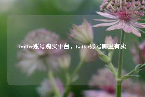 twitter账号购买平台，twitter账号哪里有卖