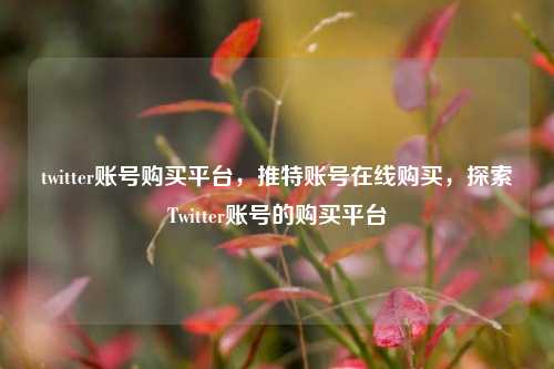twitter账号购买平台，推特账号在线购买，探索Twitter账号的购买平台