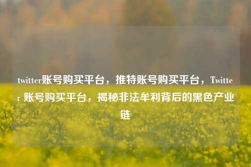 twitter账号购买平台，推特账号购买平台，Twitter 账号购买平台，揭秘非法牟利背后的黑色产业链