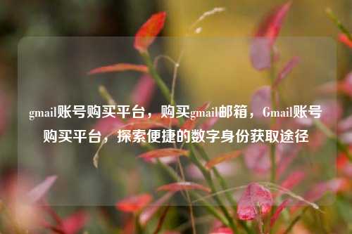 gmail账号购买平台，购买gmail邮箱，Gmail账号购买平台，探索便捷的数字身份获取途径