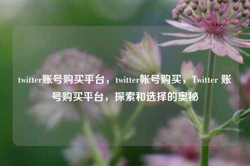 twitter账号购买平台，twitter帐号购买，Twitter 账号购买平台，探索和选择的奥秘