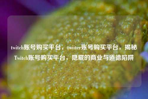 twitch账号购买平台，twiiter账号购买平台，揭秘Twitch账号购买平台，隐藏的商业与道德陷阱