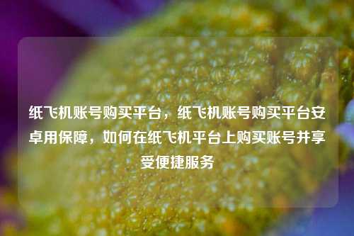 纸飞机账号购买平台，纸飞机账号购买平台安卓用保障，如何在纸飞机平台上购买账号并享受便捷服务