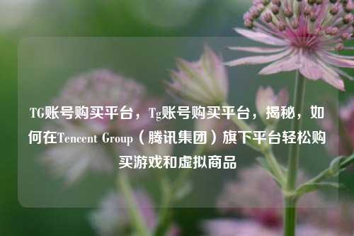 TG账号购买平台，Tg账号购买平台，揭秘，如何在Tencent Group（腾讯集团）旗下平台轻松购买游戏和虚拟商品