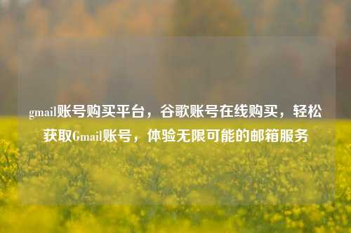 gmail账号购买平台，谷歌账号在线购买，轻松获取Gmail账号，体验无限可能的邮箱服务