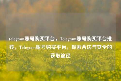 telegram账号购买平台，Telegram账号购买平台推荐，Telegram账号购买平台，探索合法与安全的获取途径