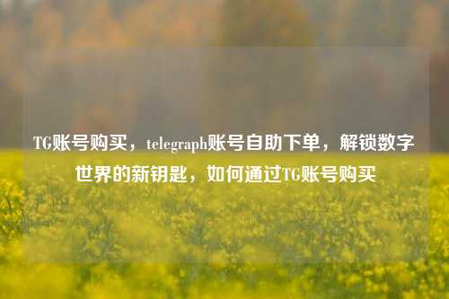 TG账号购买，telegraph账号自助下单，解锁数字世界的新钥匙，如何通过TG账号购买