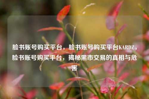 脸书账号购买平台，脸书账号购买平台KARDZ，脸书账号购买平台，揭秘黑市交易的真相与危害