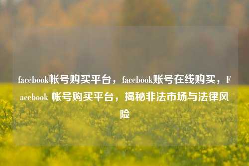 facebook帐号购买平台，facebook账号在线购买，Facebook 帐号购买平台，揭秘非法市场与法律风险